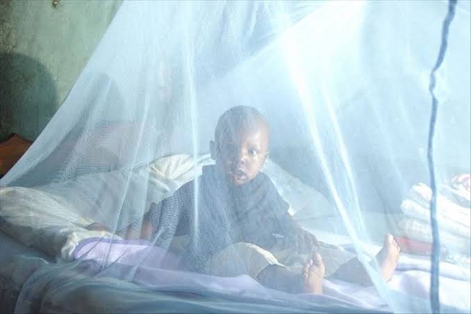 Lutte contre le paludisme au Sud-Kivu : signature des actes d'engagement en faveur de la campagne de distribution des moustiquaires - JUA RDC