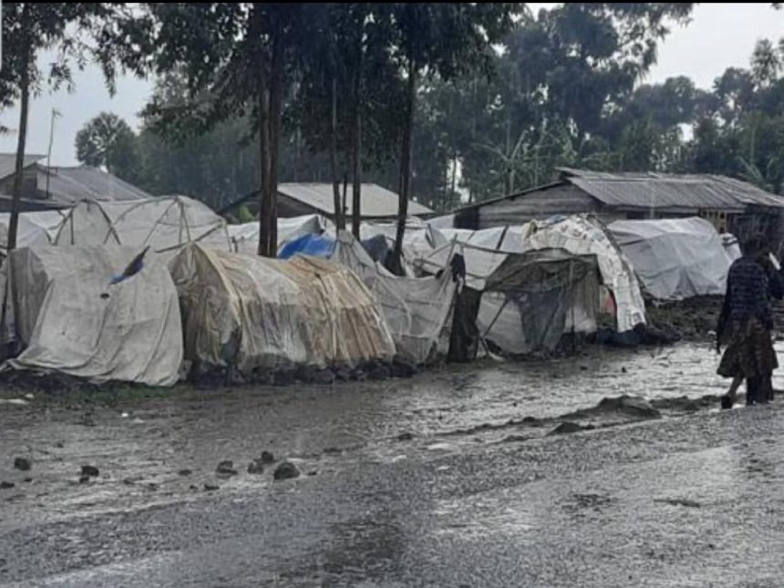 Camps de déplacés de Goma, Nord-Kivu